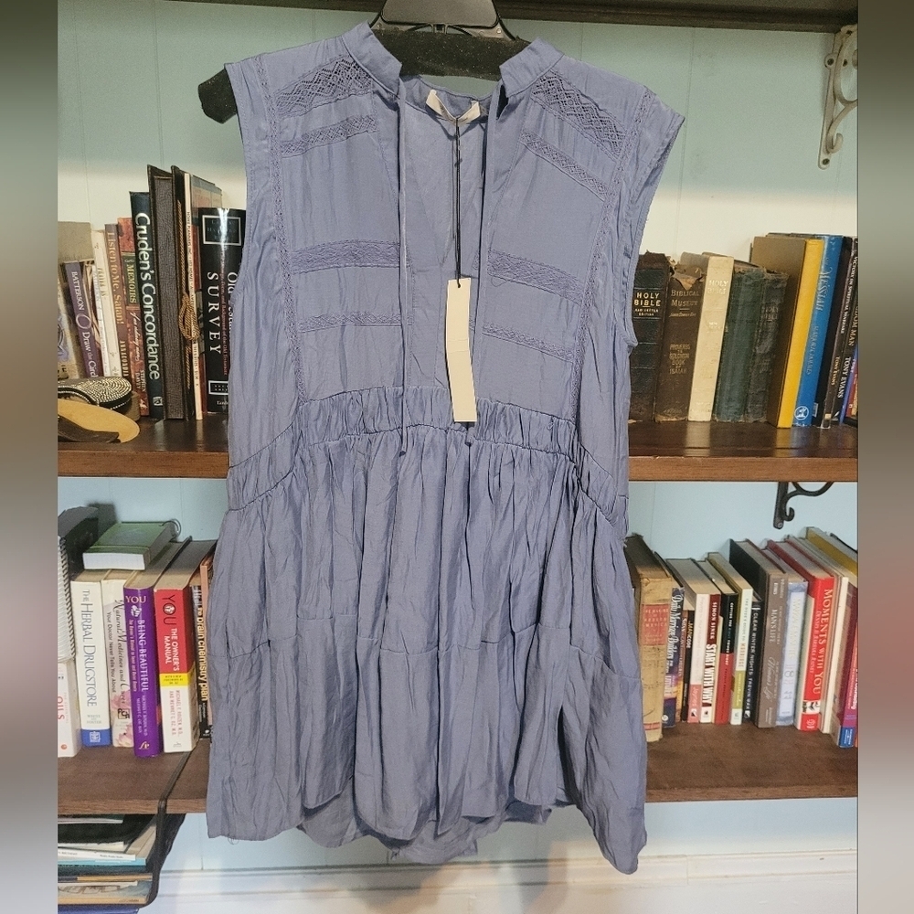 Mustard Seed Blue Sleeveless Midi Dress